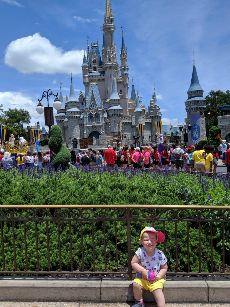 Our trip to Disney World.