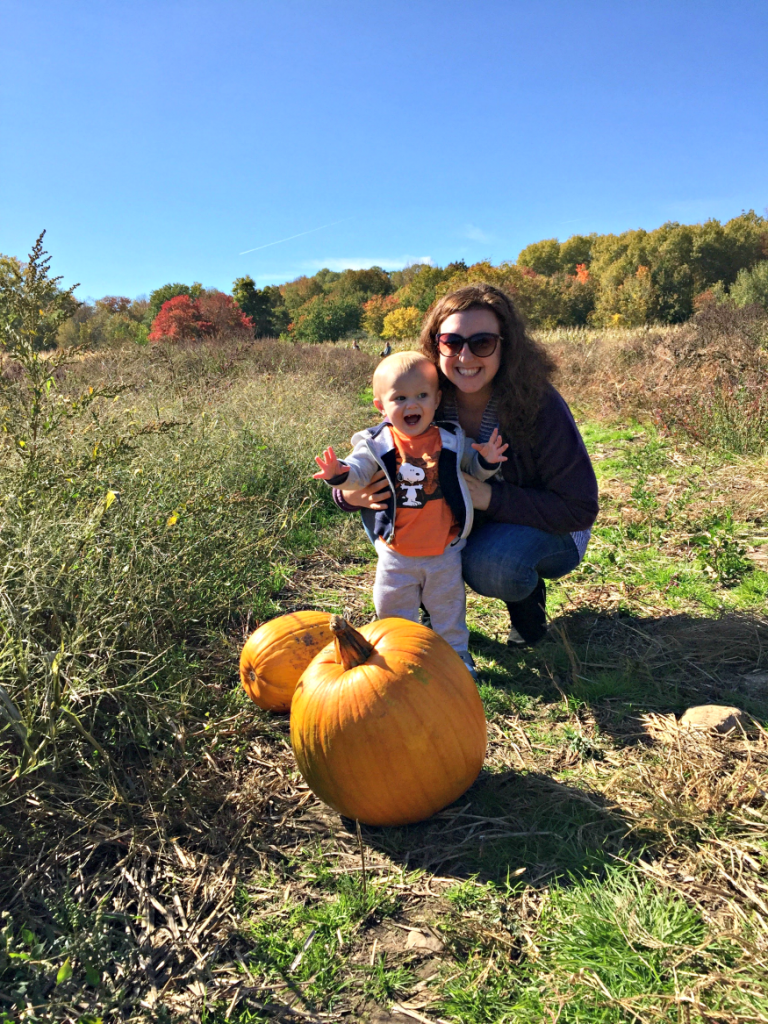 The pumpkin patch.