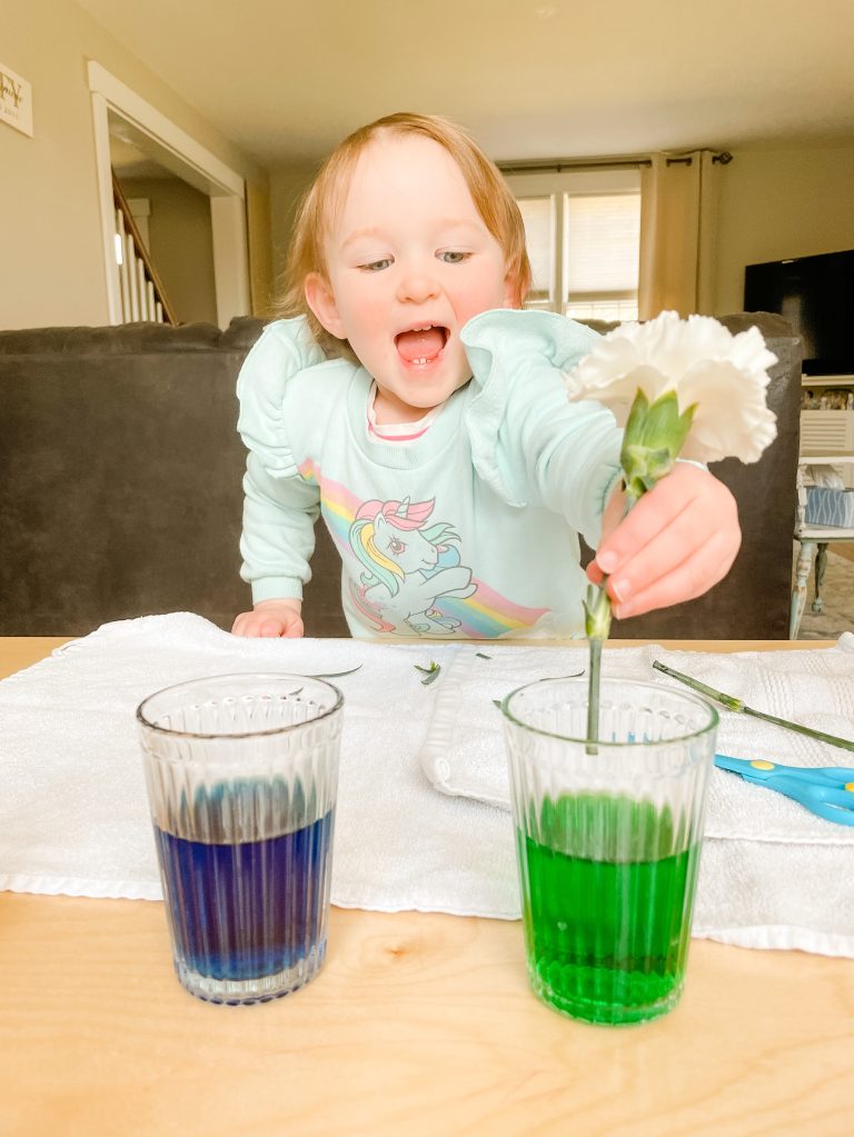 Dyed Flowers.