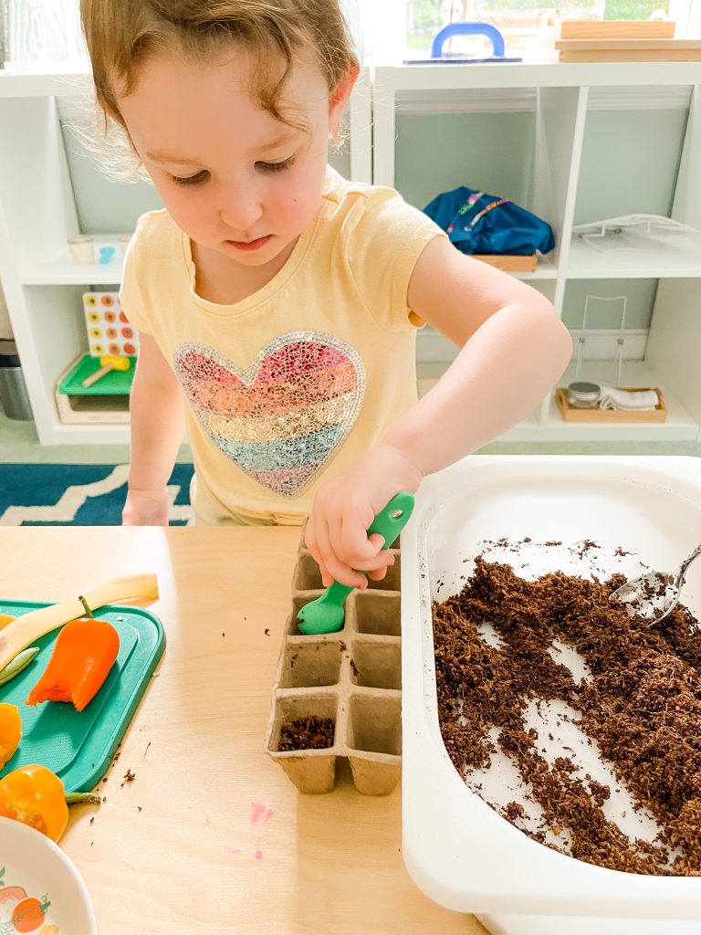 Exploring Nature With Children: Seed Week.